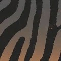 Ambush Camo